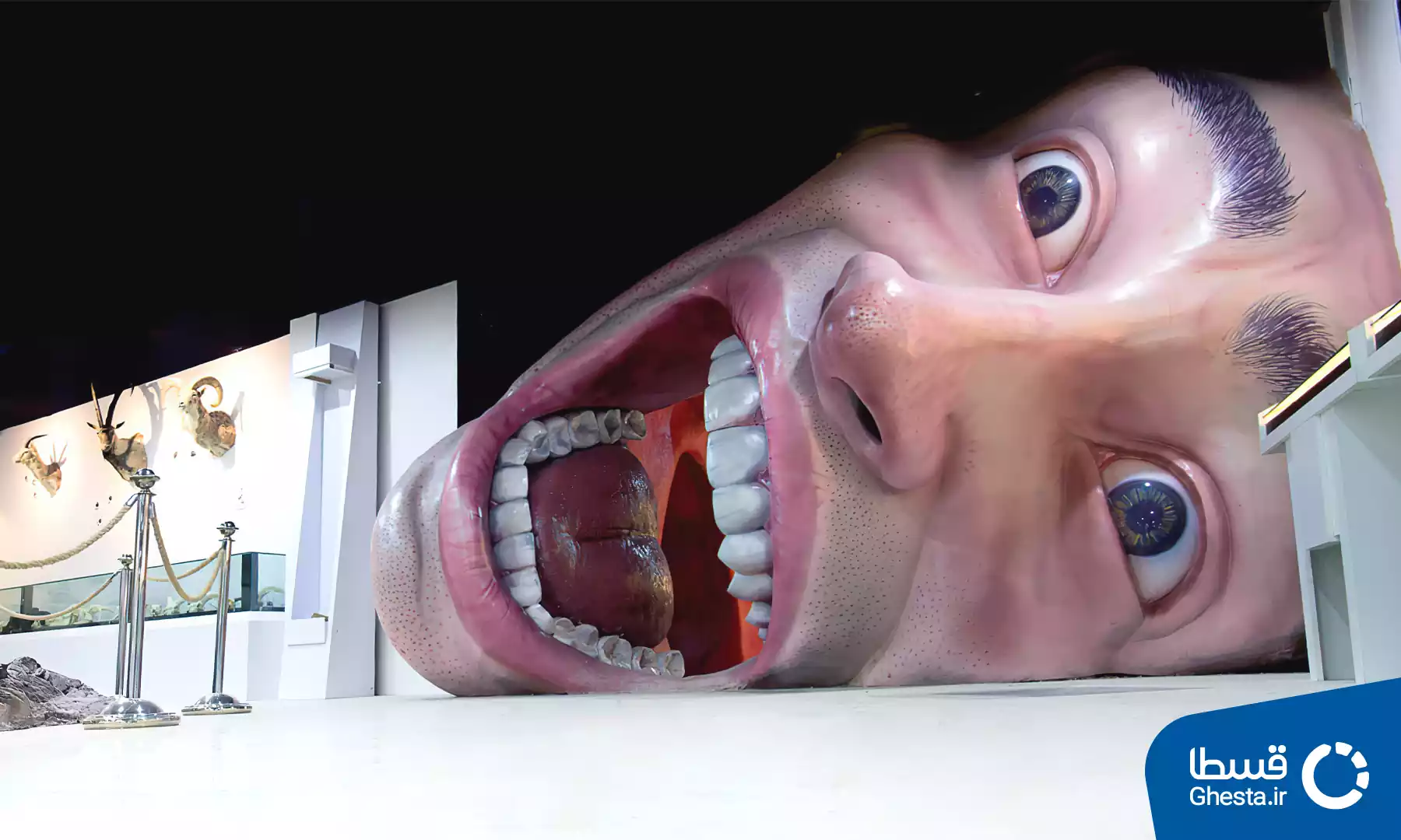 پارک علمی بازیما